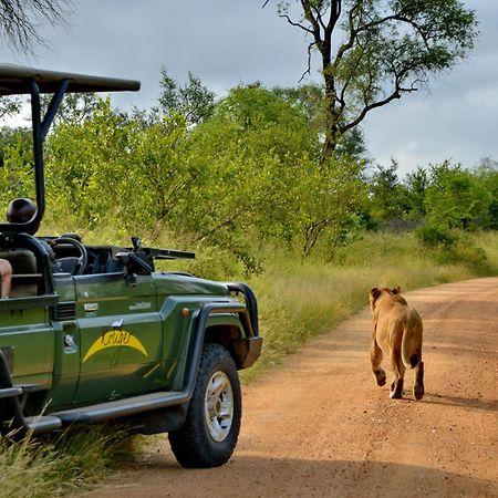 Kruger Safari Lodge Manyeleti Game Reserve Exterior foto